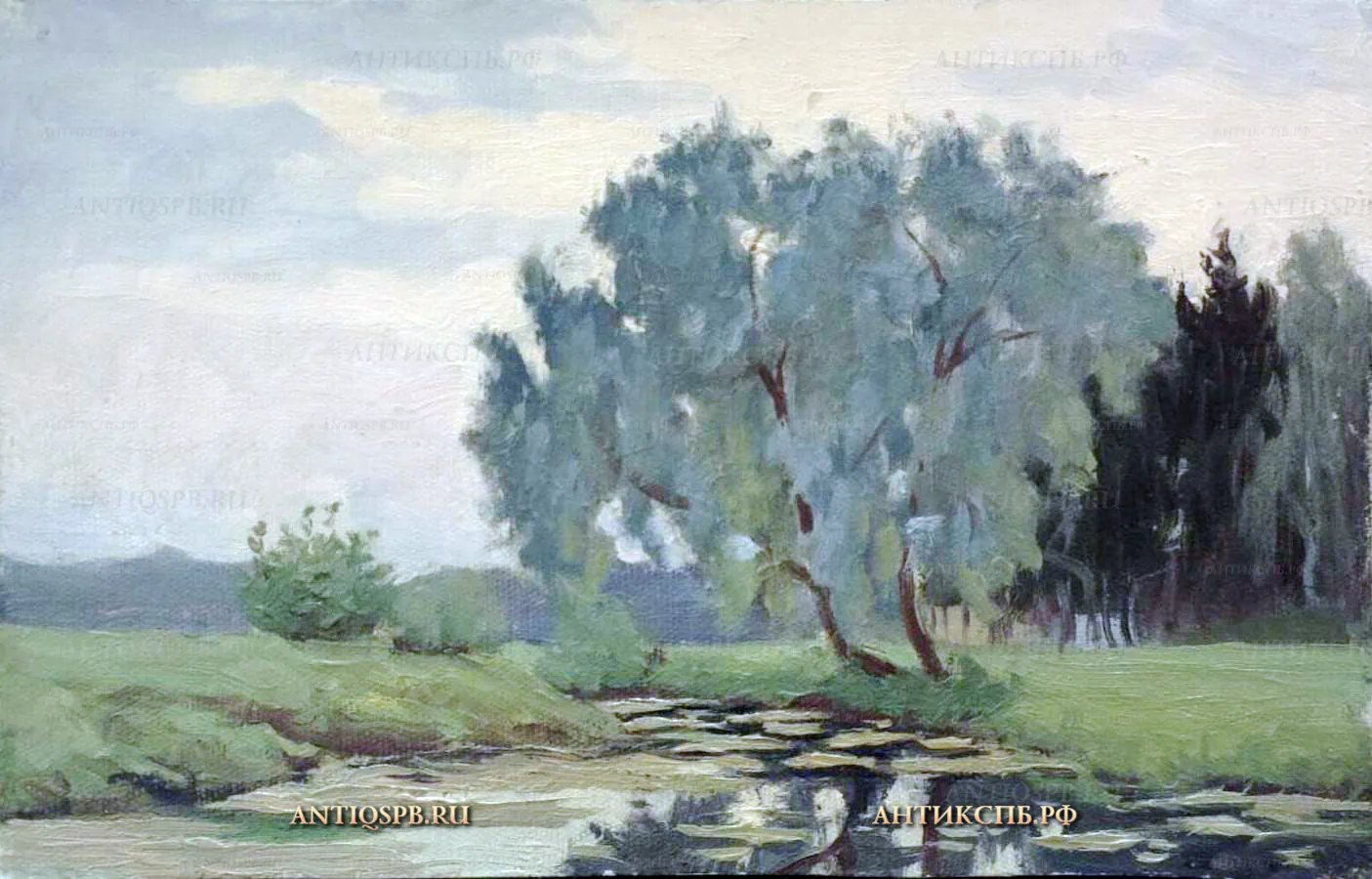 Картина, этюд "Ива". Художник: В.И. Лучников. СССР. Вт. пол. ХХ века. №18620.1